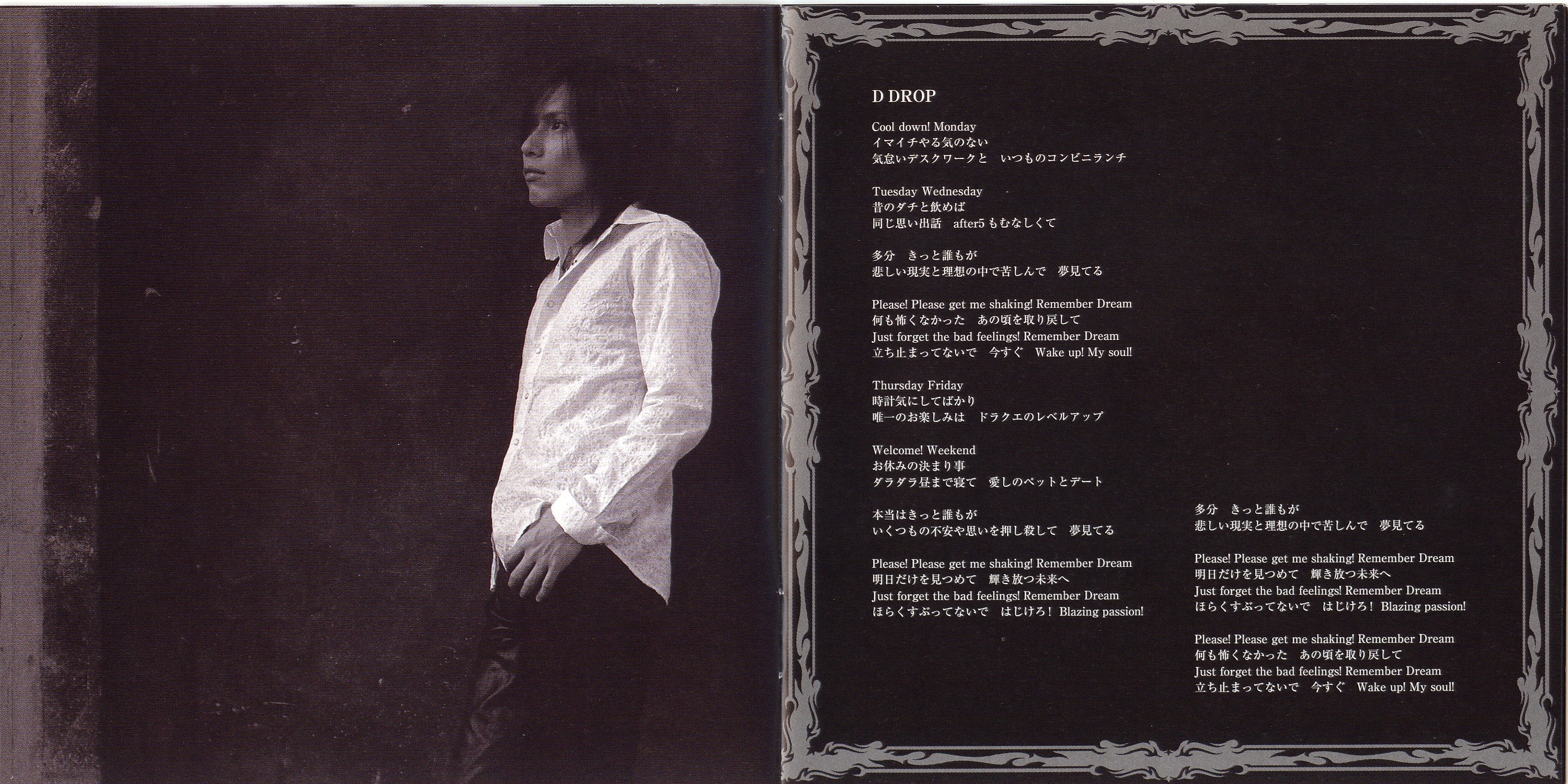 Janne Da Arc　File　（希少） Janne Da Arc MAJOR DEBUT 10th ANNIVERSARY COMPLETE BOX(初回
